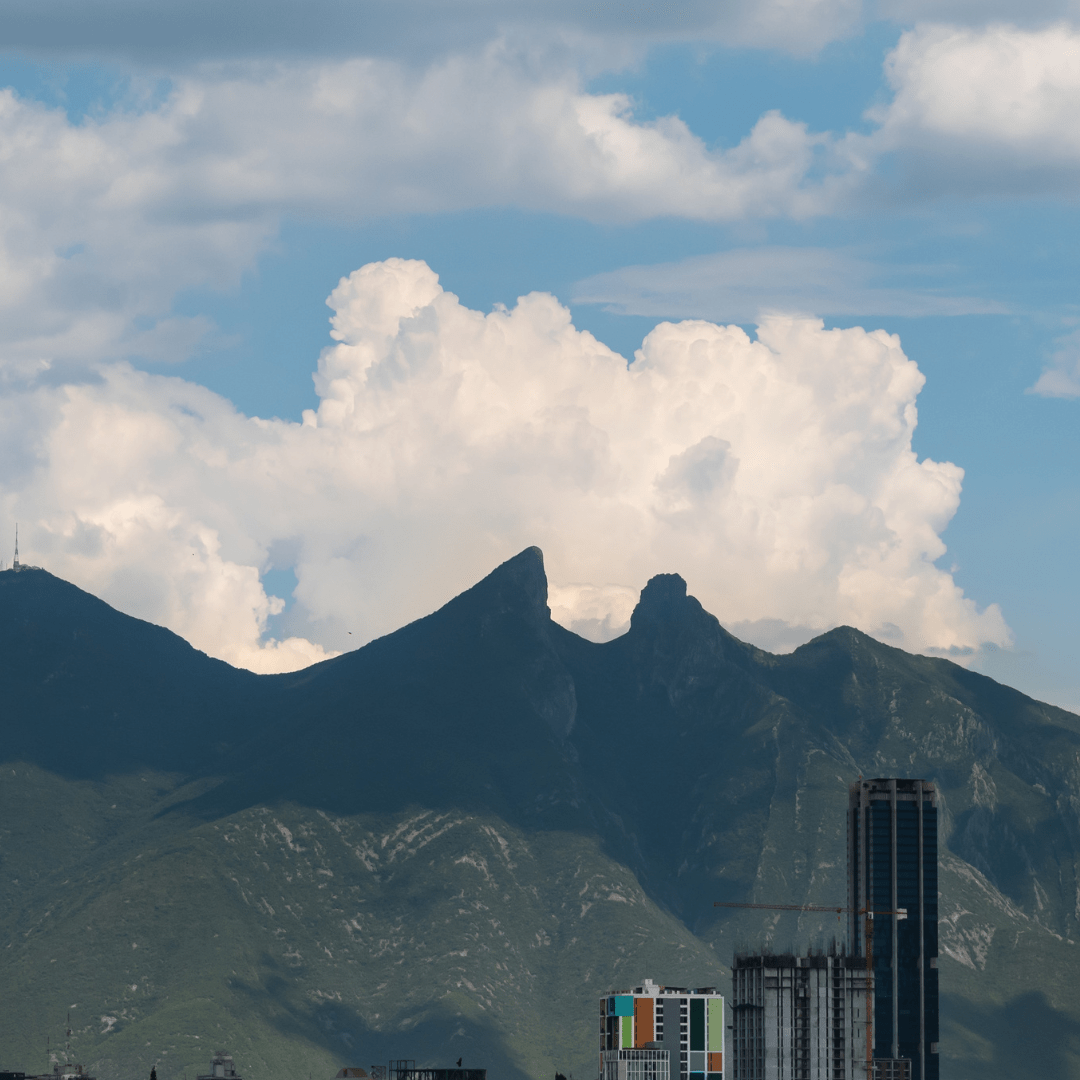 Tés Gourmet en Monterrey: Descubre, Degusta, Disfruta - Mahama